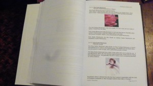 12698410_1123778580979517_4492144546399012141_o