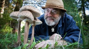 mushroomman-672x372